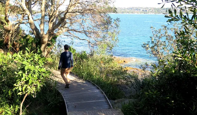 Hermitage Foreshore track