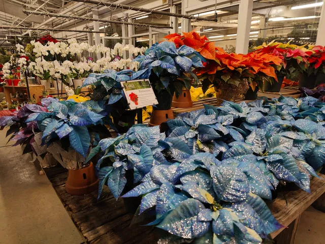 Gale's Westlake Garden Center