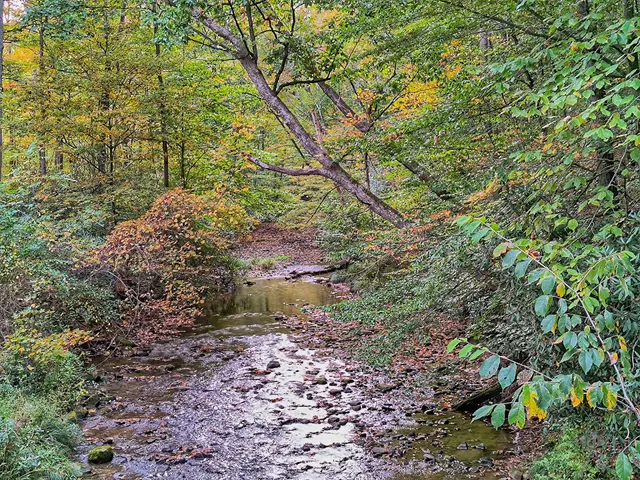 Indian Creek Valley Rail Trail - Champion Trailhead