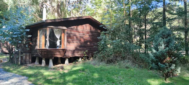 Among Hualles And Pellines