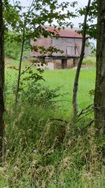 Maple Grove Township