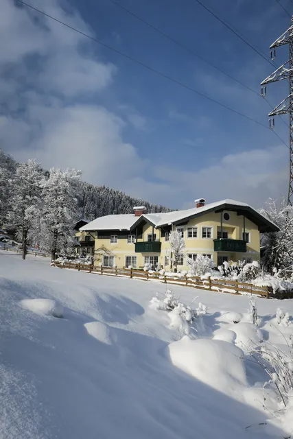 Apartments Geistlinger