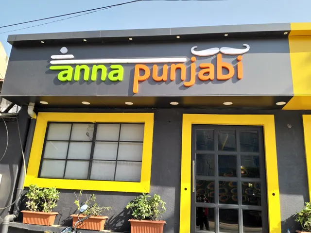 Anna Punjabi