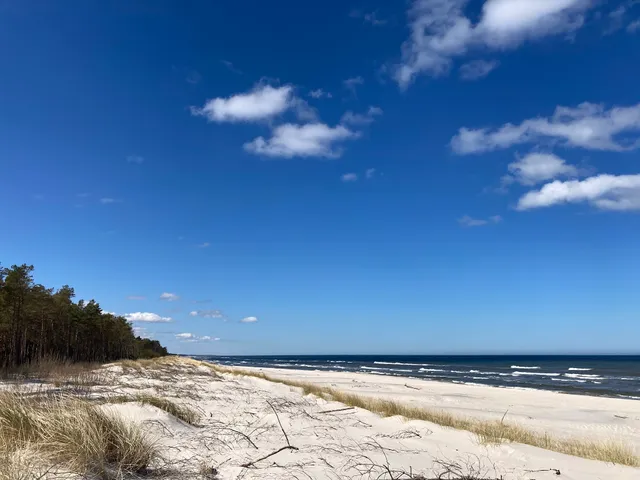Dębowisko Sasino - Domki nad morzem Całoroczne