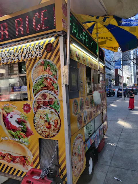 Halal Indian Food and Gyro Truck