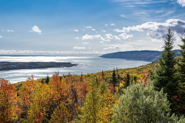 Chalet La Panoramique