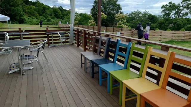 cafe two two & dog grass field