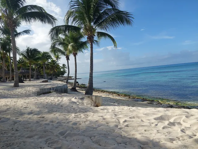 Lovely Apartment by the Caribbean