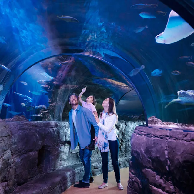 SEA LIFE New Jersey Aquarium