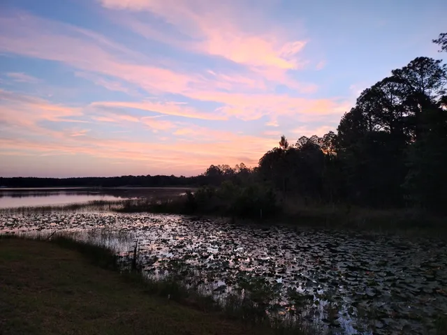 Mill Dam Lake Resort