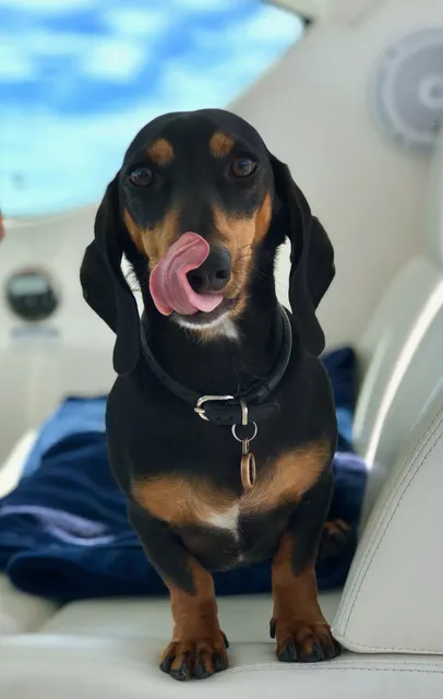 The Market at Diamante cabo san lucas