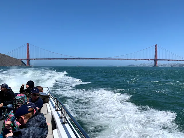 San Francisco Whale Tours