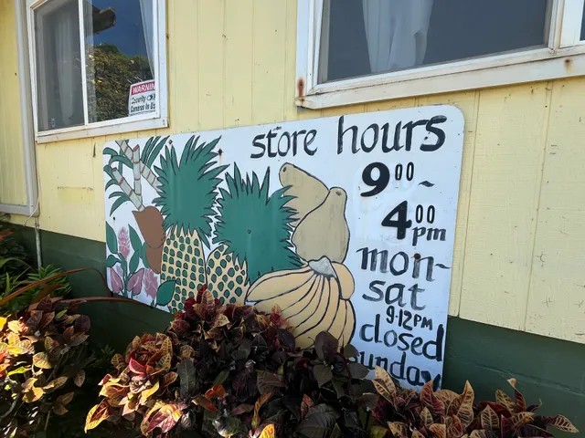 The Pineapple Store
