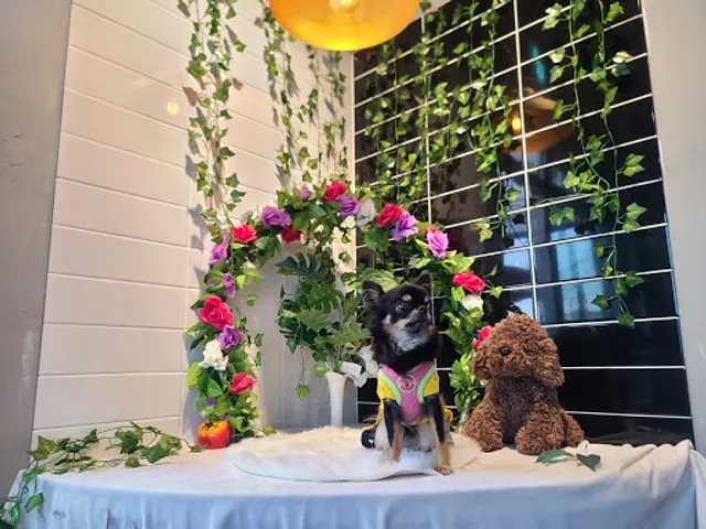 카페비앤비(cafe B&B)