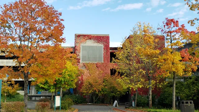 North Seattle College