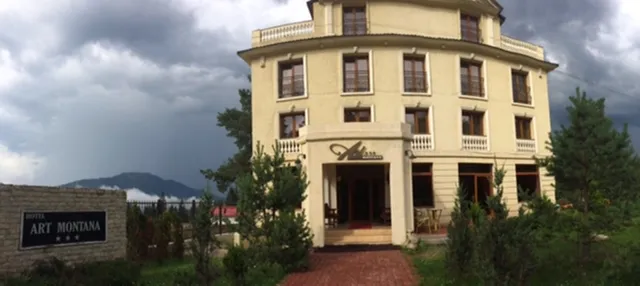 Art Montana