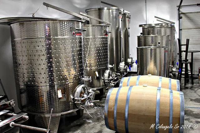 Villa Verona Vineyard