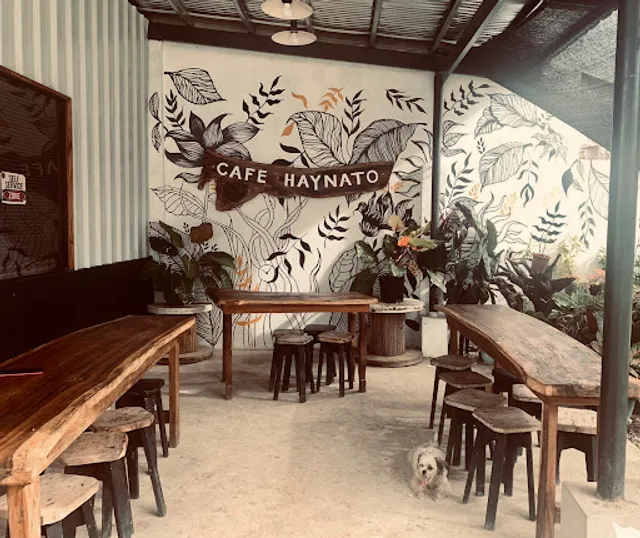 Café Haynato