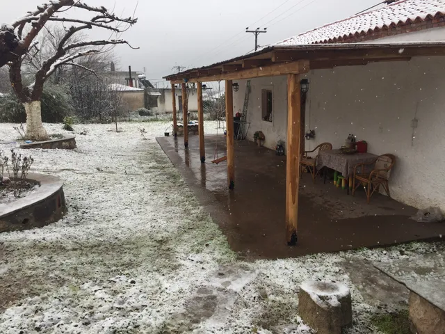 Θοδωρής Αντωνογεώργος