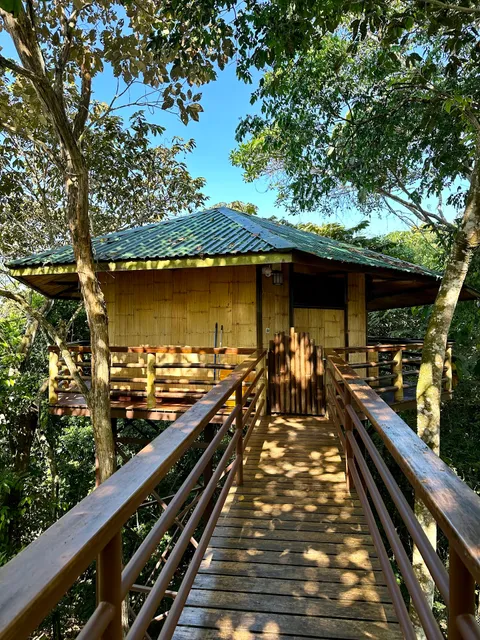 Treehouse Pilón