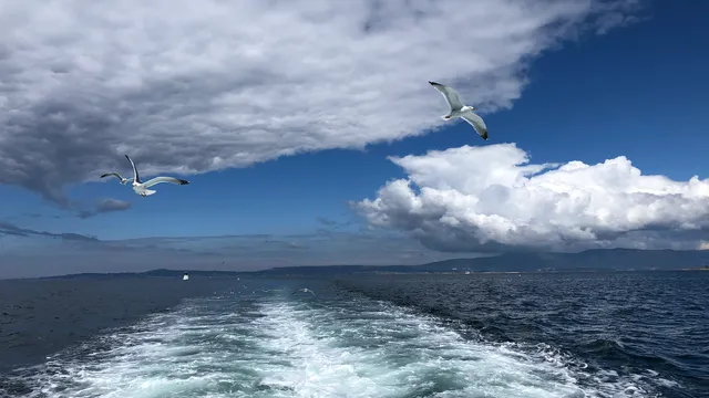 Ático Andalucía Plaza
