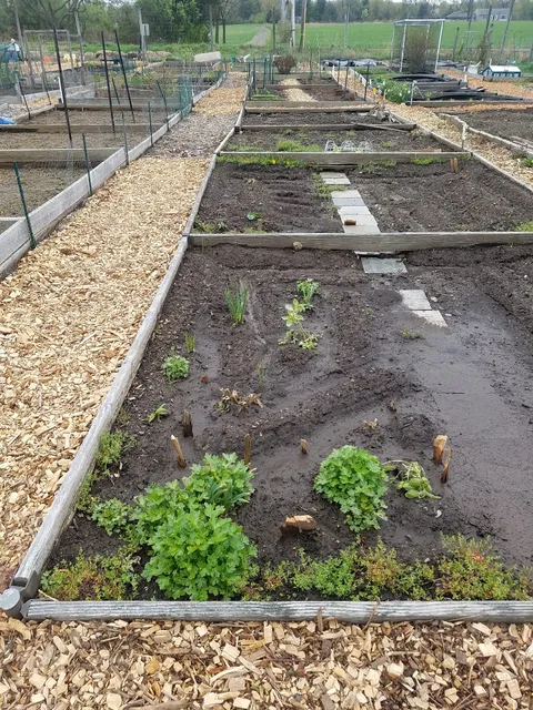 Warren Riverside Property