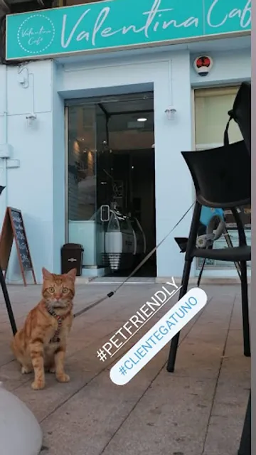 Valentina cafe HELADERÍA CREPERÍA GOFRES, BATIDOS, TOSTADAS, , Orihuela, vega baja