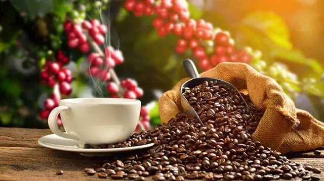 Daddy Private Kitchen 爹地私房菜