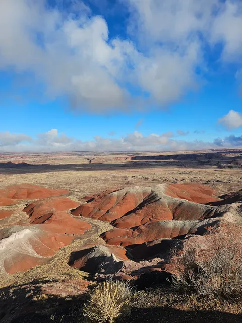 Painted Desert