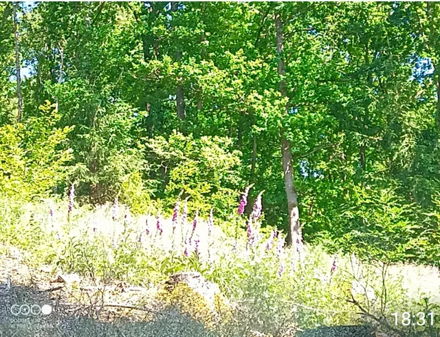 Stadt Kreuztal · Kulturamt