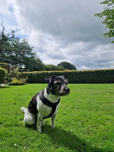 Ferienwohnung-Ausacker