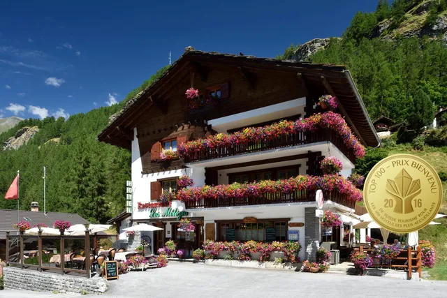 Hôtel Les Mélèzes