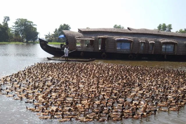 Riverine Backwater Resort