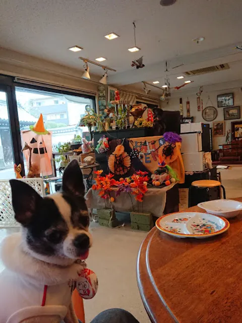 dog cafe K3