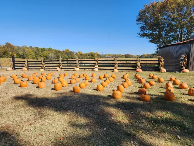 White House pumkpin patch