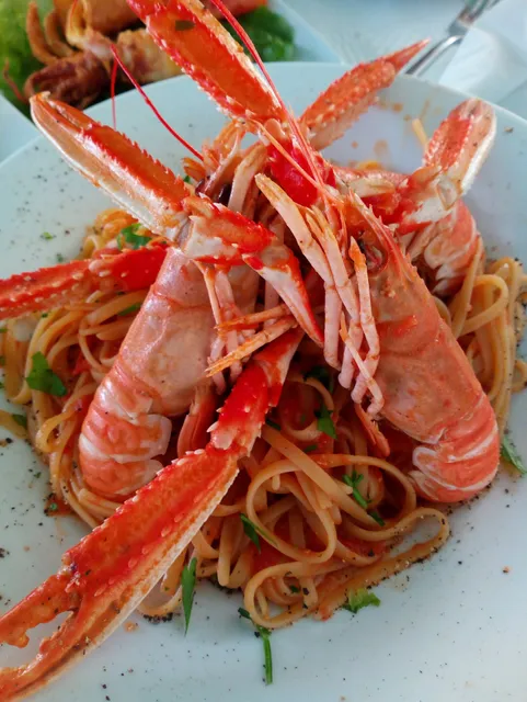 Xydous, El. & Nik. A., O.E.