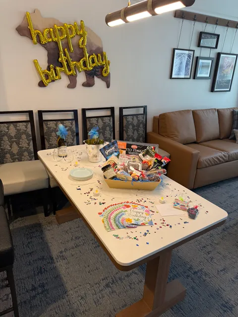 Bear Essentials Lake Tahoe