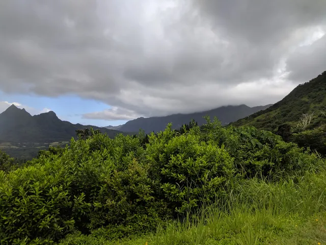 Pali Hwy Scenic Lookout