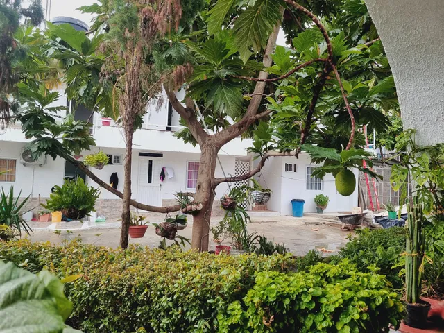 Hosteria La Cattleya sai