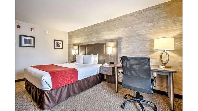 Comfort Inn & Suites South