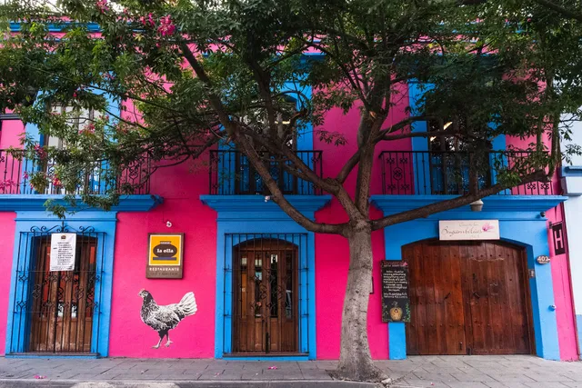 Casa de las Bugambilias B&B