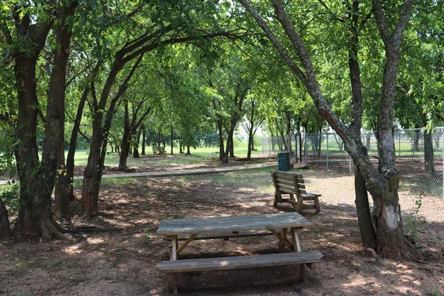 The Vito Baxter Puppy Promenade