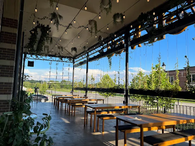 Hail Fellow Well Met