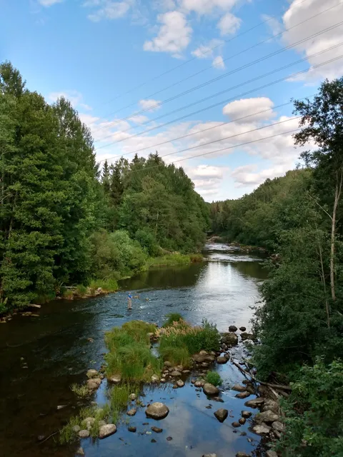 Kuninkaantammenpuisto