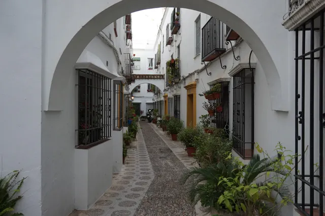 Panorama Cordoba Center