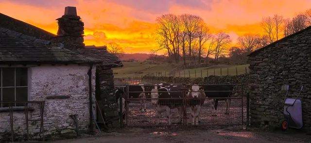 Barker Knott Farm Cottage