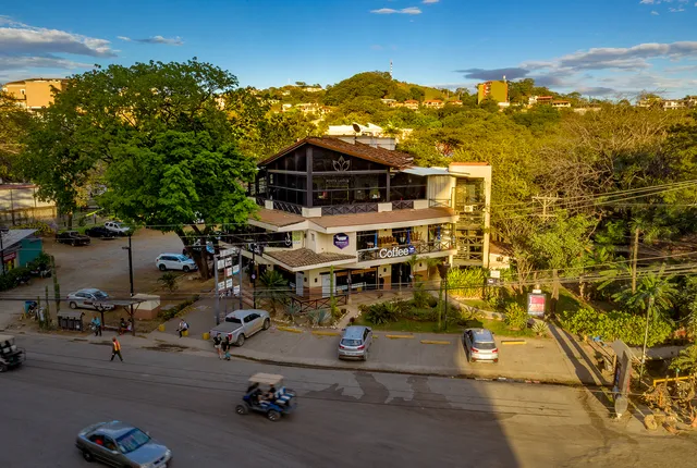 White Lotus Transformation