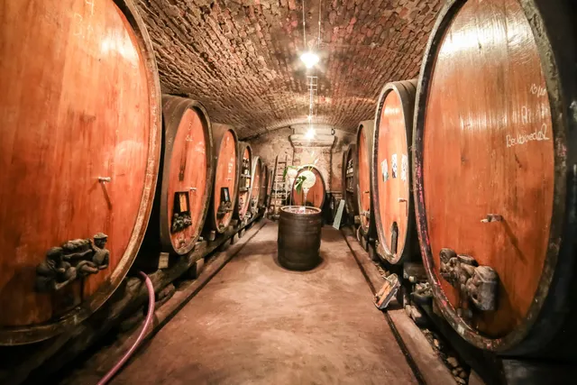 Domaine Céline Metz - Cave de la Dîme