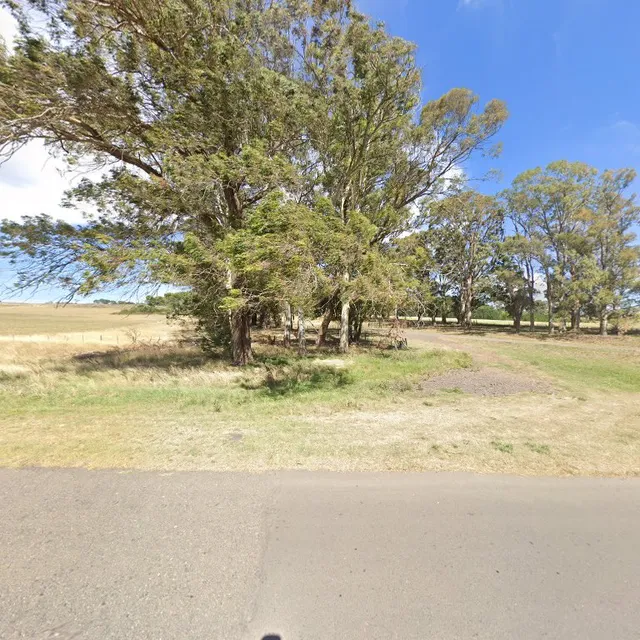 Lavandas de las Sierras