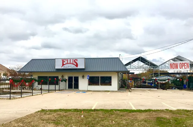 Ellis Home & Garden - Seasonal